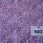BW 503